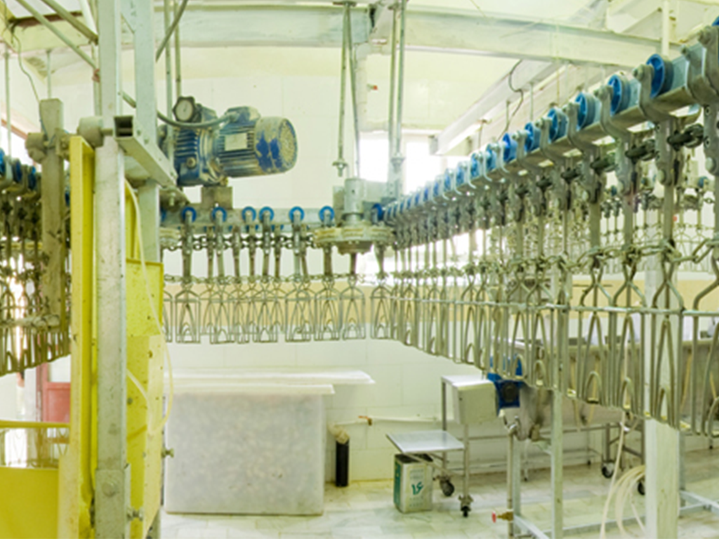 نوساز صنعت رسپینا نوساز صنعت رسپینا