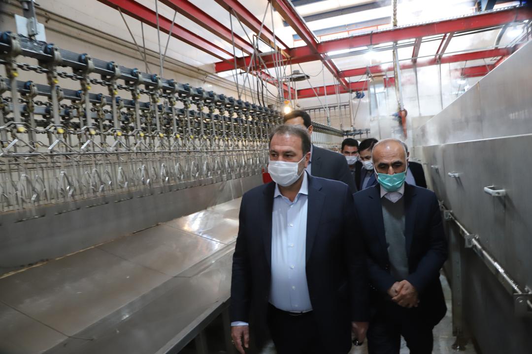 پروژه تایماز گرگان پروژه تایماز گرگان