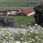 راه اندازی خط تخلیه شکم اتوماتیک