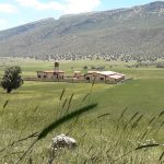 راه اندازی کشتارگاه طیور مرغ پا طلایی کارزان در ایلام