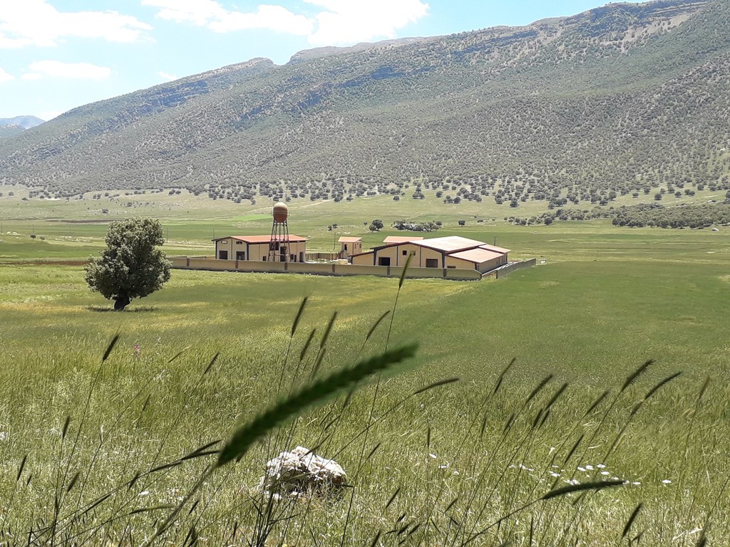 راه اندازی کشتارگاه طیور مرغ پا طلایی کارزان در ایلام راه اندازی کشتارگاه طیور مرغ پا طلایی کارزان در ایلام